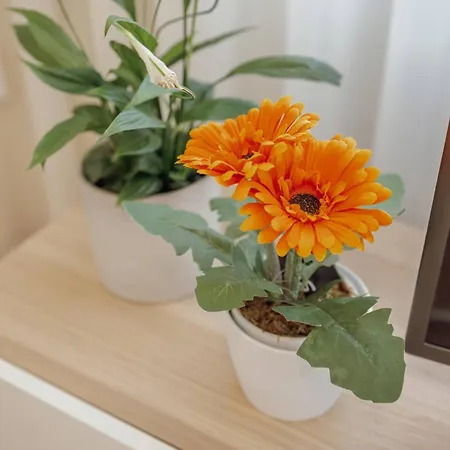 דירה Trindade Deluxe By Hosty *