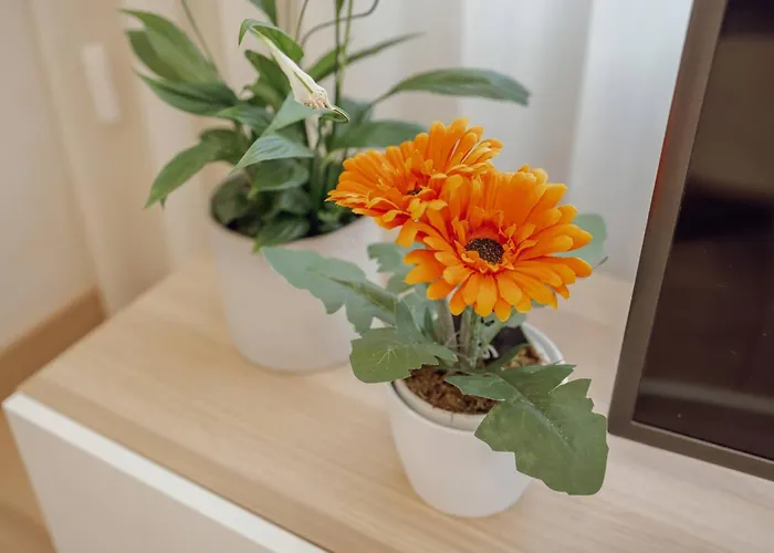 Apartamento Trindade Deluxe By Hosty *